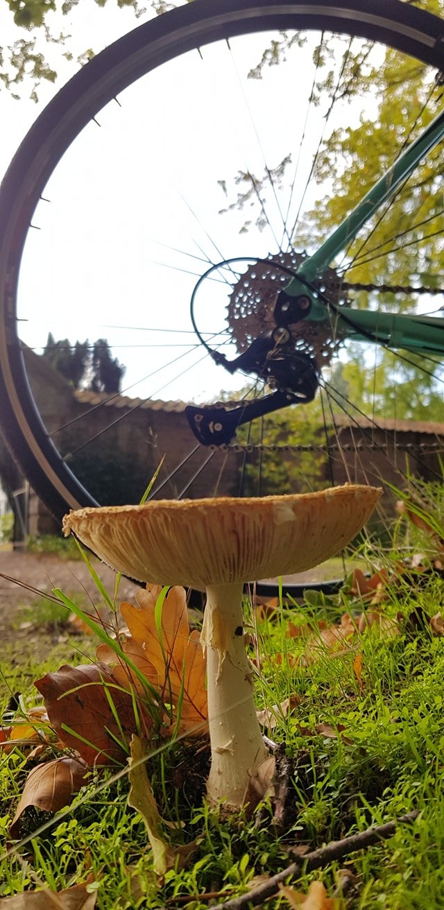 Small details on the ride