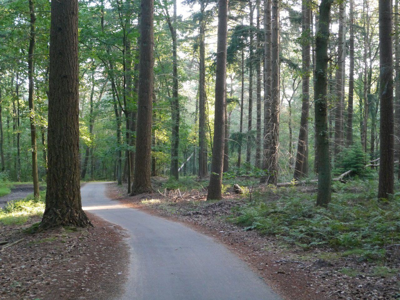 Cycling path